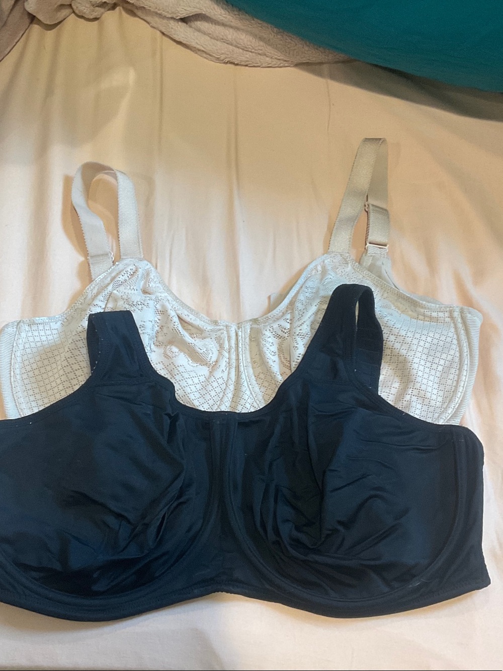Wacoal Black and Light Blue Full-Coverage Underwire Bras (Pair)